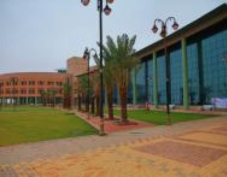 إدارة المشاريع